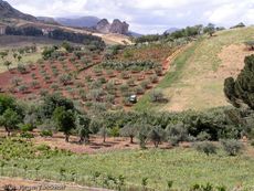 Sizilien (147 von 565).jpg